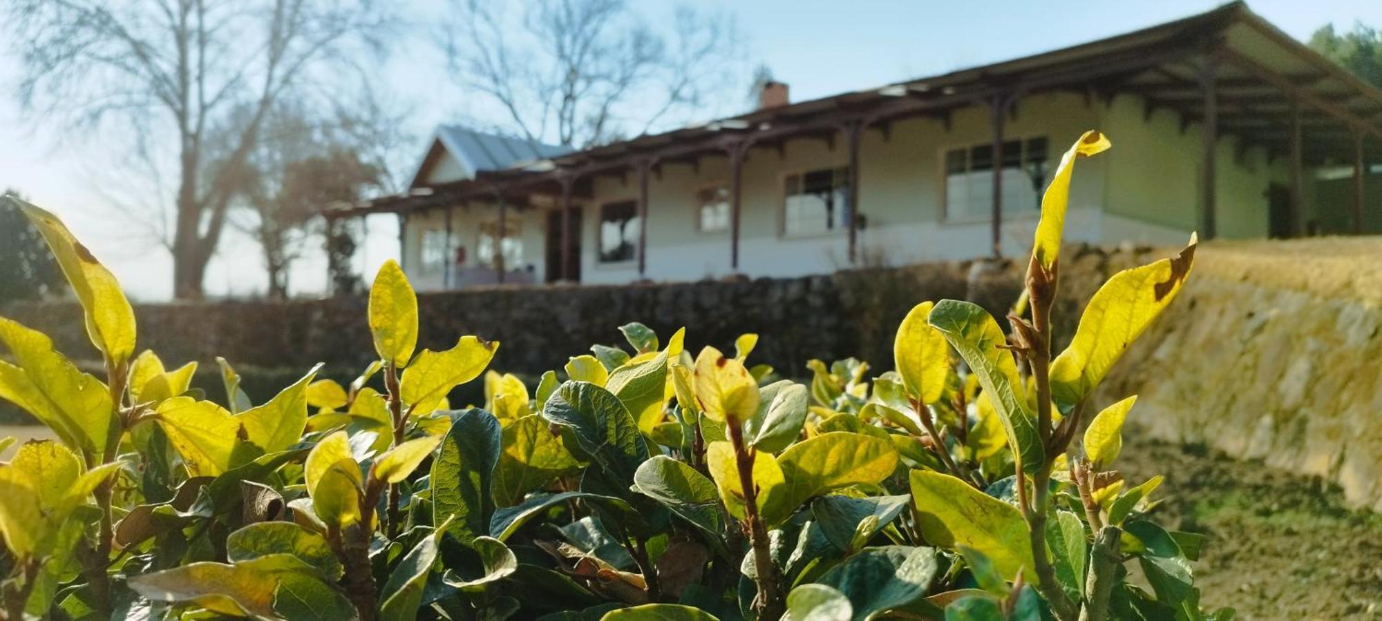 Tumble In Bed & Breakfast Underberg Exterior photo